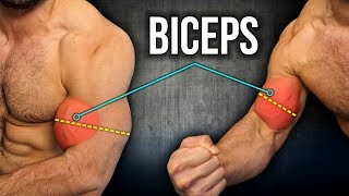 5min Home BICEPS Workout For MASS And WIDTH (DUMBBELL BICEPS WORKOUT!!)