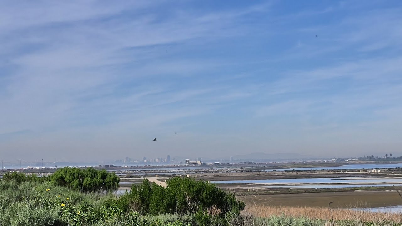View of Long Beach and Bolsa Chica Harriet M Wieder Park