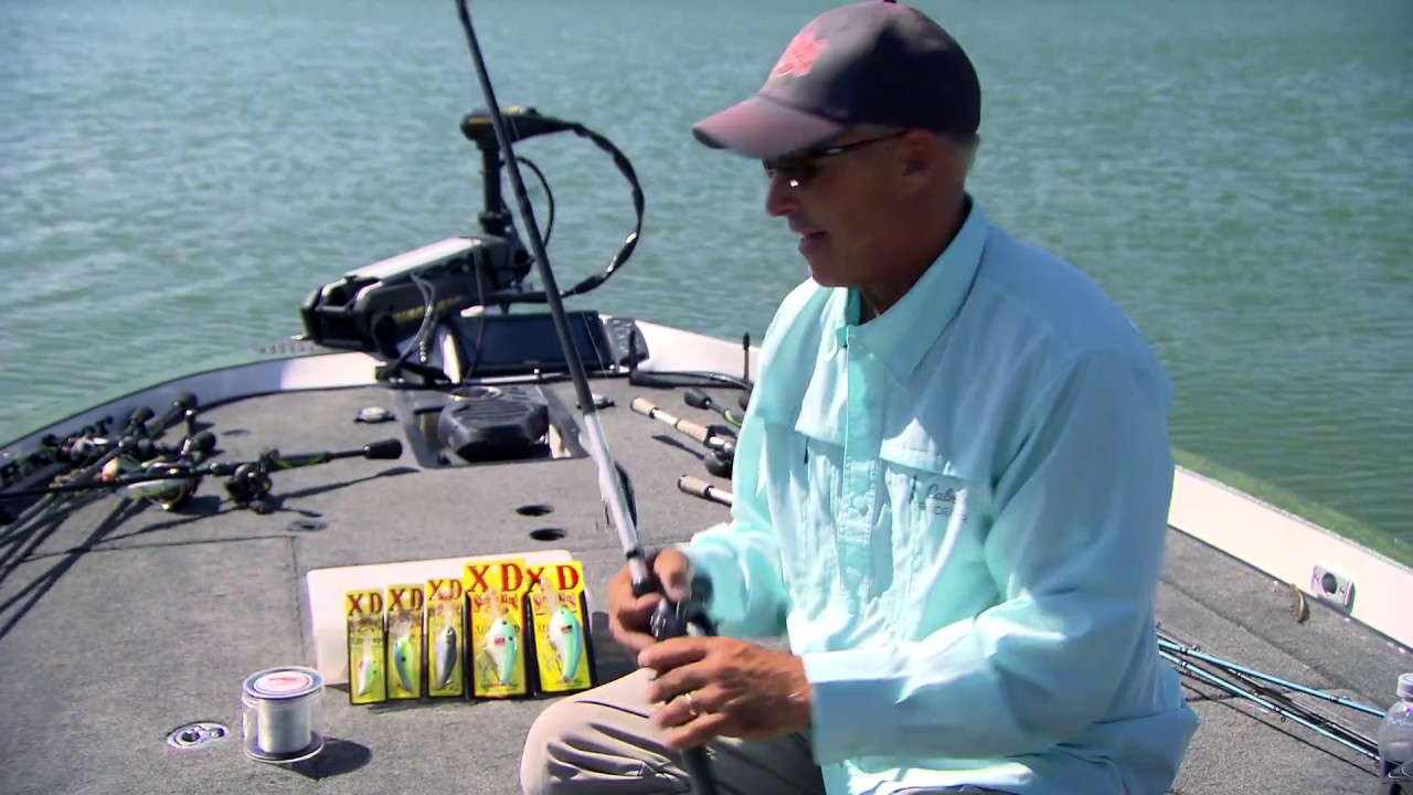 How to Catch Bass with Deep Diving Crankbaits