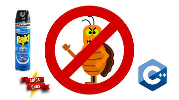 Depuración (Debugging) en C++ con ZinjaI