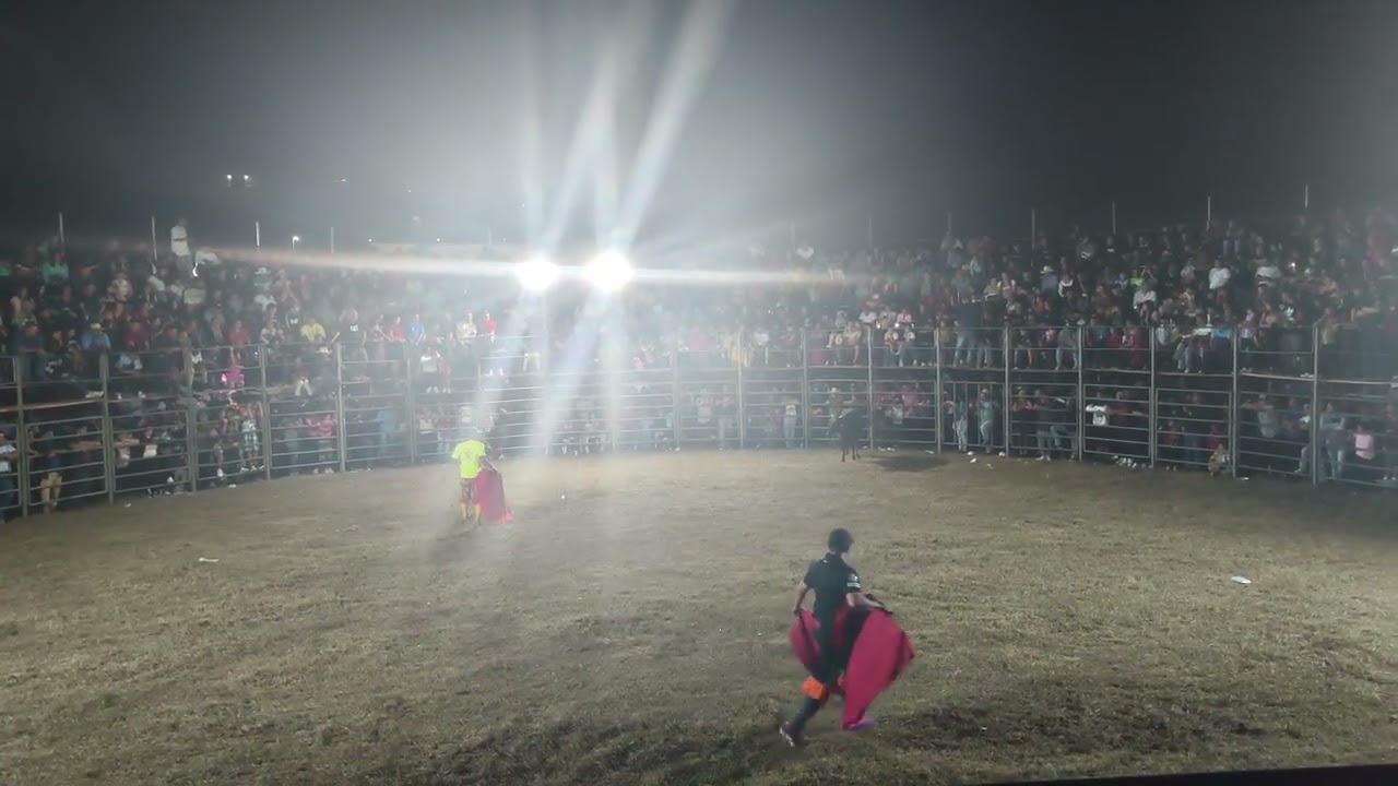 Nuestra tierra de café talero , allegado el jaripeo 🐴