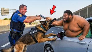 🔥 Craziest Police K9 Takedowns Caught on Camera | Instant Karma #5