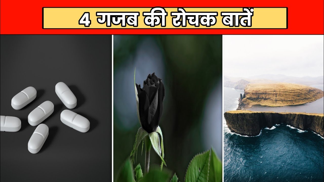 4 गजब के रोचक बातें | 4 Most Amazing Facts | Top 4 Random Facts | 