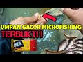 edan umpan ini jitu banget langsung strike bertubi tubi edisi micro fishing sungai belakang rumah