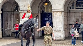 HUGE HORSE Quits As He Catch Sight of Silly People AGAIN! by The King's Guards and Horse UK 3,005 views 5 days ago 52 minutes