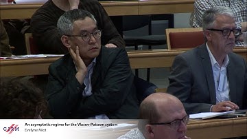 Evelyne Miot: An asymptotic regime for the Vlasov-Poisson system