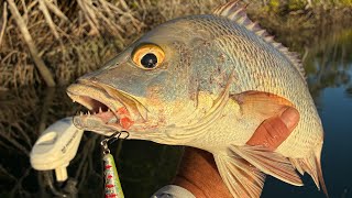 Lure fishing for Jacks and Barra’s.