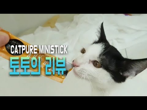 [EP14] 캣퓨어 미니스틱 [토토의 리뷰] _ 아기고양이 토토의 초보집사 키우기 _ Cat Snack Review : CATPURE MINISTICK