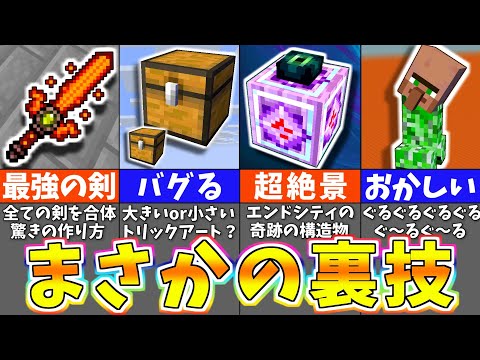 【マイクラ】絶対にありえないチート裏技を検証したら面白すぎたｗｗｗ【まいくら・マインクラフト】