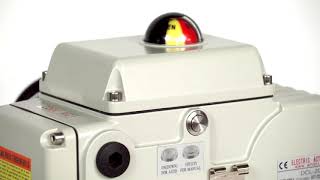 DCL Common Series Electric Actuators