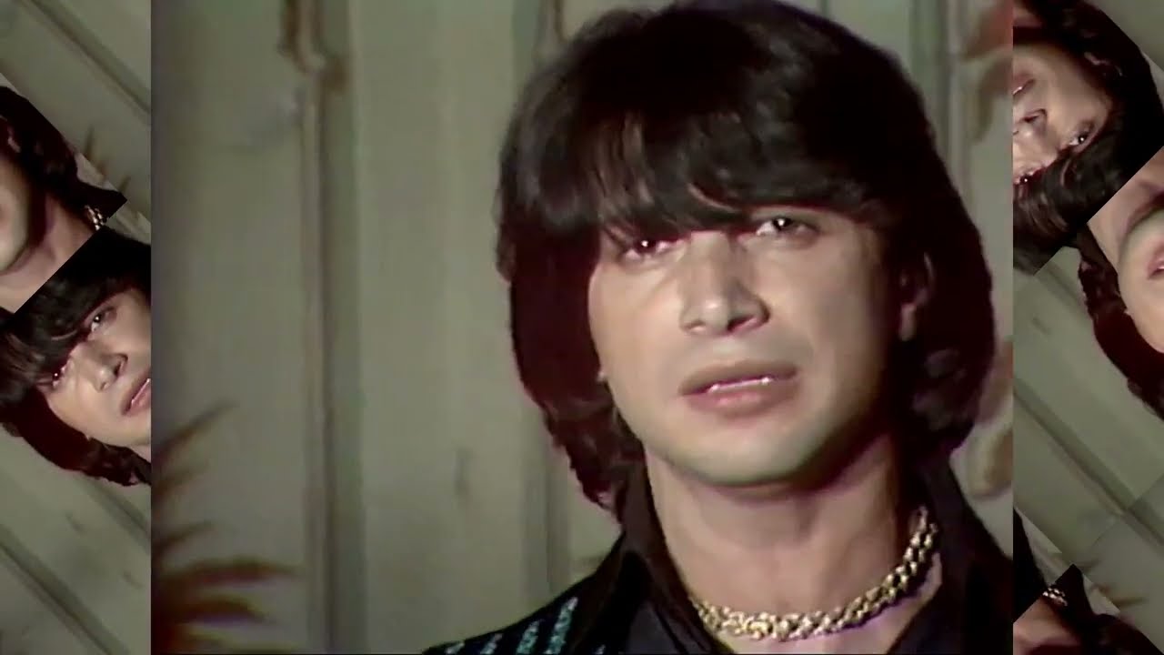 HERVÉ VILARD CANTA: ELLE ÉTAIT BELLE - 1977 FEB 19