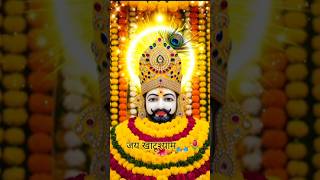 Shyam Baba Darbaar 🙏🌹✨#status #video #khatushyam #trending #bhajan