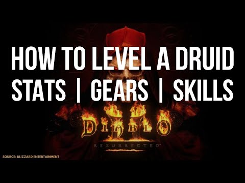 [Guide] HOW TO LEVEL A DRUID FOR DIABLO 2 RESURRECTED | STATS - SKILLS - GEAR