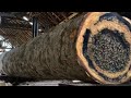 Big Disaster, The Big Wood Almost Killed Woodworker At Sawmill