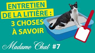 Entretien de la litière : 3 choses à savoir