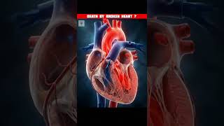 Is death possible by a broken heart 💔 ? | #shorts #facts