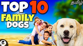 Top 10 family dogs | family friendly dogs | what are the best family dogs?