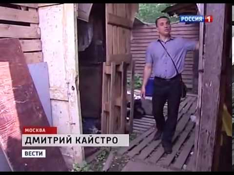 Дмитрий кайстро биография личная жизнь Москву зачистили от нелегальных мигрантов хачей,дагов - YouTube