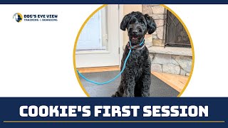 Cookie F's First Session