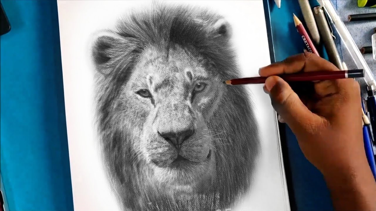 How to draw Lion | Simba drawing - YouTube