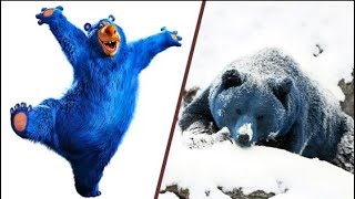 Wonder Park In Real Life Main Characters