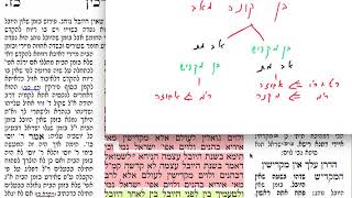הדף היומי מסכת ערכין דף כז Daf yomi Arachin 27