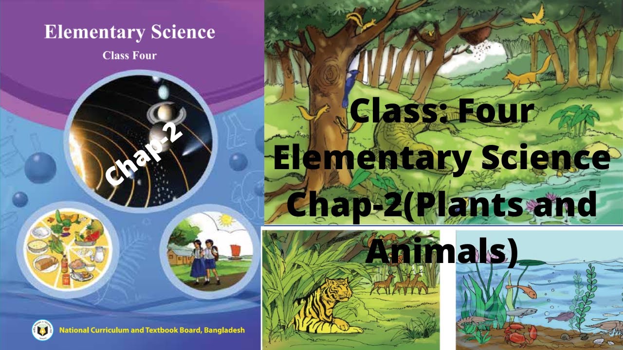 ClassFour(E.V) Elementary Science Chapter2.৪র্থ শ্রেণি বিজ্ঞান Class
