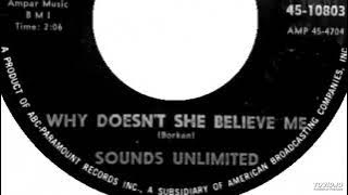 Sounds Unlimited - Why Doesn't She Believe Me?