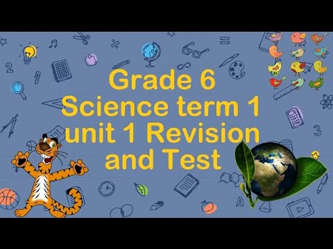 Science Term 1 Unit 1 Revision And Test Grade 6 PEP Curriculum Based Test Preparation 