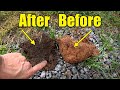 No-Till Myths and Veggie Garden Soil and Compost