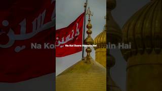 Na Koi Dusra Hussain Hai | Lyrics Status | ibbu.12 | #hussain #shorts |