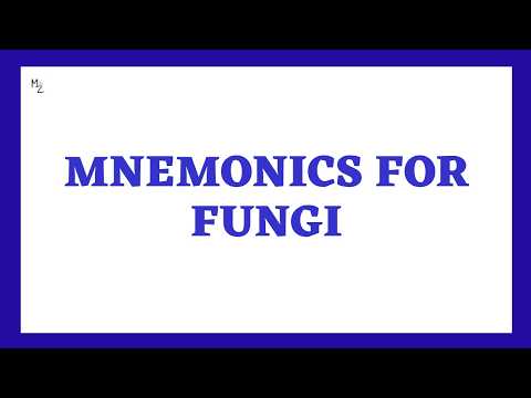 Mnemonics For Fungi