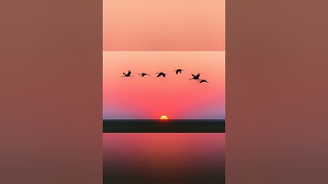 الحزب الاول من القران الكريم 🌱محمد سايد🌱