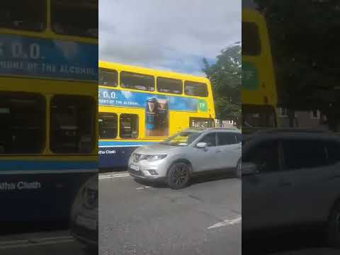 Dublin Bus: SG169: Route 38D to Burlington Road: Ashtown Roundabout: 28/6/22