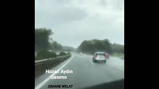 Hozan Aydin - Qasimo Resimi