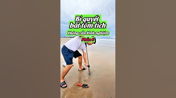 Series: Bí quyết bắt tôm tích không cần kinh nghiệm phần 6| Mò Cua Bắt Ốc -TV