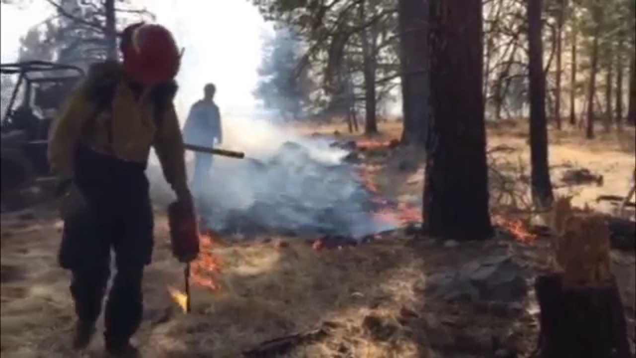 Lakeview BLM Fire 2014 YouTube
