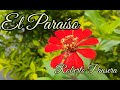 EL PARAISO - Instrumental - Roberto Pansera