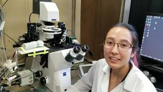 Yale Pathways 2020 - Sensory Physiology - Interactive Lab Tour/Game