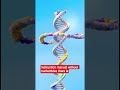 Nucleotides:The Secret Language of Human DNA#viral#trending #education#foryou#facts#shortvideo#short