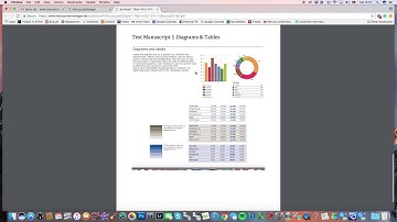 The Editor-in-Chief Assigns Associate Editor in Manuscript Manager