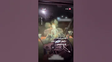 مجندة إسرائيلية تصور مقطع فيديو وهي تجرف حقول الزيتون في قرية المغير شرق رام الله 