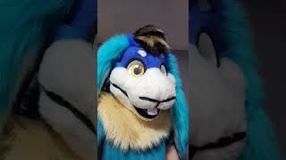 To My Raccoon Fursona Friends