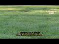 Review SYMA X550 RC Plane, 4 CH Remote Control Airplane with High/Low Speed, One-Key Takeoff/Landing