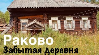 видео: Затерянная русская деревня Раково. Заброшенные богатые дома. Население 0 человек картинка: Затерянная русская деревня Раково. Заброшенные богатые дома. Население 0 человек
