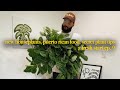 A fresh start ep 9  new houseplants puerto rican food secret plant tips