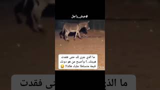 ذهبت الهيبة والفاهم يفهم