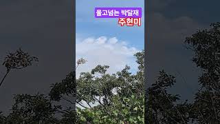 주현미#울고넘는 박달재#트롯#주현미#대전 보문산