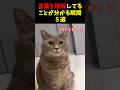 猫が言葉を理解してることが分かる瞬間５選#cat #面白集 #ねこ #笑ったら負け
