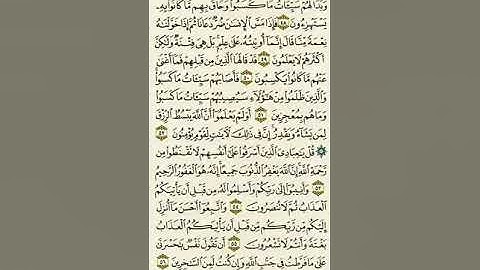 سورة الزمر من الآية ٤٨ إلى الآية ٥٦بصوت القارئ ماهر المعيقلي